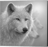 Arctic Wolves - Whiteout - B&W Fine Art Print