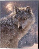 Lone Wolf Fine Art Print