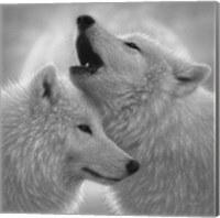 Wolves - Love Song - B&W Fine Art Print