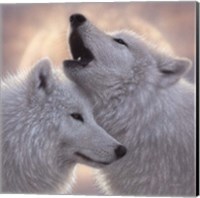 Wolves - Love Song Fine Art Print