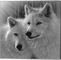 Wolves - Sunlit Soulmates - B&W Fine Art Print