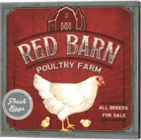 Red Barn Poultry Farm Fine Art Print