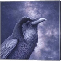 Raven Air Fine Art Print