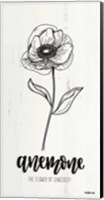 Anemone - the Flower of Sincerity Fine Art Print