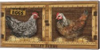 Chicken House Fine Art Print