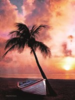 Palm Tree Sunset Fine Art Print