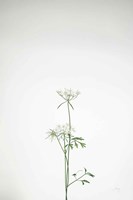 Simple Stems VI Fine Art Print