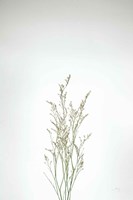 Simple Stems V Fine Art Print