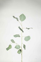 Simple Stems I Fine Art Print