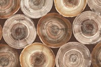 Rings of Life I Brown Fine Art Print