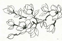 Flower Drawing Fine Art Print