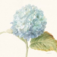 Floursack Florals V - Blue Hydrangea Crop Fine Art Print