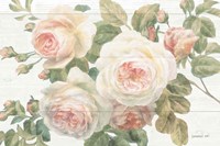 Vintage Roses White on Shiplap Crop Fine Art Print