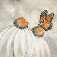 Butterflies are Free II Fine Art Print
