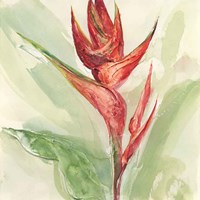 Exotic Flower IV Fine Art Print