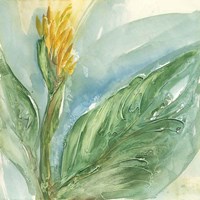 Exotic Flower II Framed Print