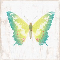 White Barn Butterflies III Fine Art Print