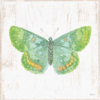 White Barn Butterflies II Fine Art Print