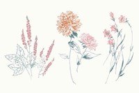 Flowers on White VIII Contemporary Bright Framed Print