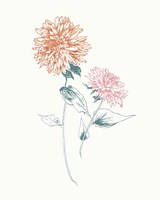 Flowers on White IV Contemporary Bright Fine Art Print