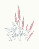 Flowers on White VII Contemporary Bright Framed Print