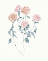 Flowers on White VI Contemporary Bright Framed Print