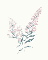 Flowers on White I Contemporary Bright Framed Print