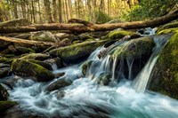 Sticks and Stones Fine Art Print