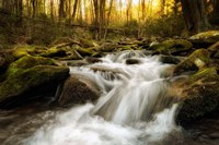 Roaring Fork Fine Art Print