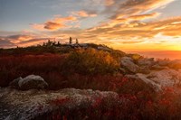 Sunrise in Fall II Fine Art Print