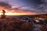 Sunrise in Fall III Fine Art Print