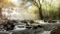 Waterfall Creek Fine Art Print