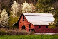 Skylight Red Barn Fine Art Print