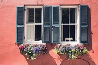 Window Charm Fine Art Print