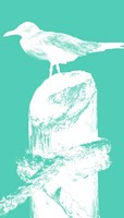 Perching Seabird II Fine Art Print