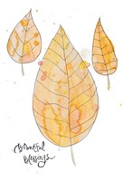 Bountiful Blessings Fine Art Print