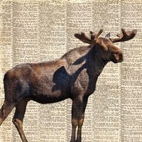 Country Moose II Fine Art Print