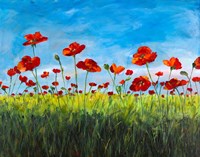 Wild Poppies Fine Art Print