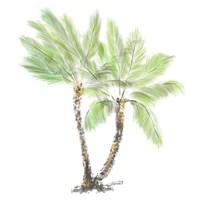 Palm Tree on White I Framed Print