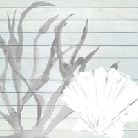 Seashell on Blue Wood Fine Art Print