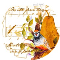 Partridge in a Pear Tree Fine Art Print