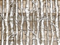 Light Birch Forest Fine Art Print