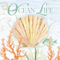 Ocean Life Framed Print