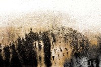 Starry Night Fine Art Print