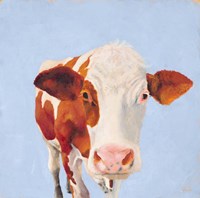 Cow Self Portrait Fine Art Print