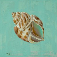 Ocean's Gift II Framed Print