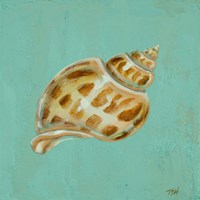 Ocean's Gift III Framed Print