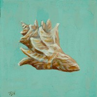 Ocean's Gift IV Framed Print