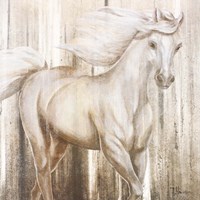 Horse on Grass Abstract Fine Art Print