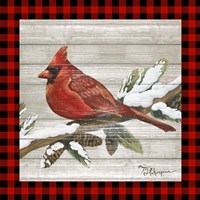 Winter Red Bird IV Fine Art Print